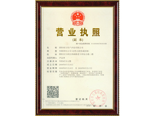 南方资产评估营业执照