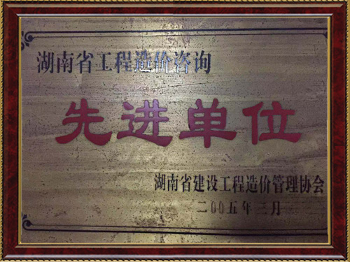 湖南省工程造价咨询先进单位证书