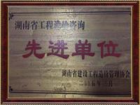 湖南省工程造价咨询先进单位证书
