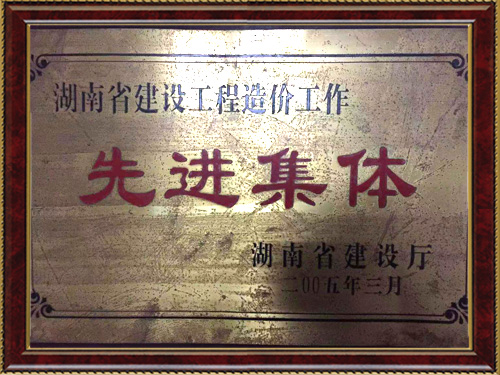 湖南省建设工程造价工作先进单位证书
