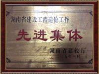 湖南省建设工程造价工作先进单位证书